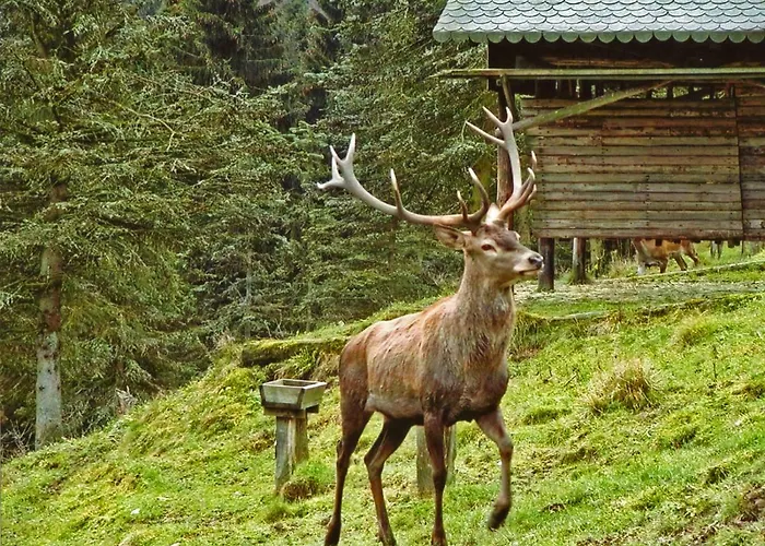 Διαμέρισμα Gierse Schmallenberg